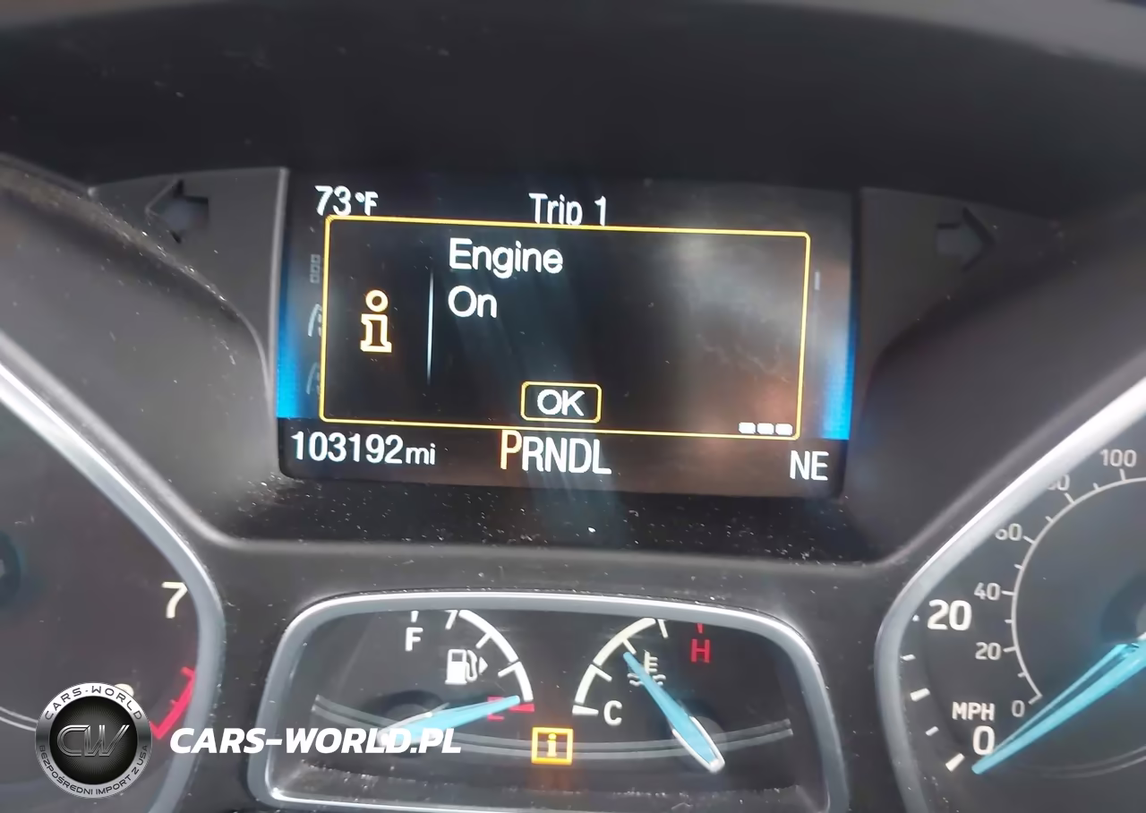 2018 Ford Focus Se VIN:1FADP3K26JL307417 - 16