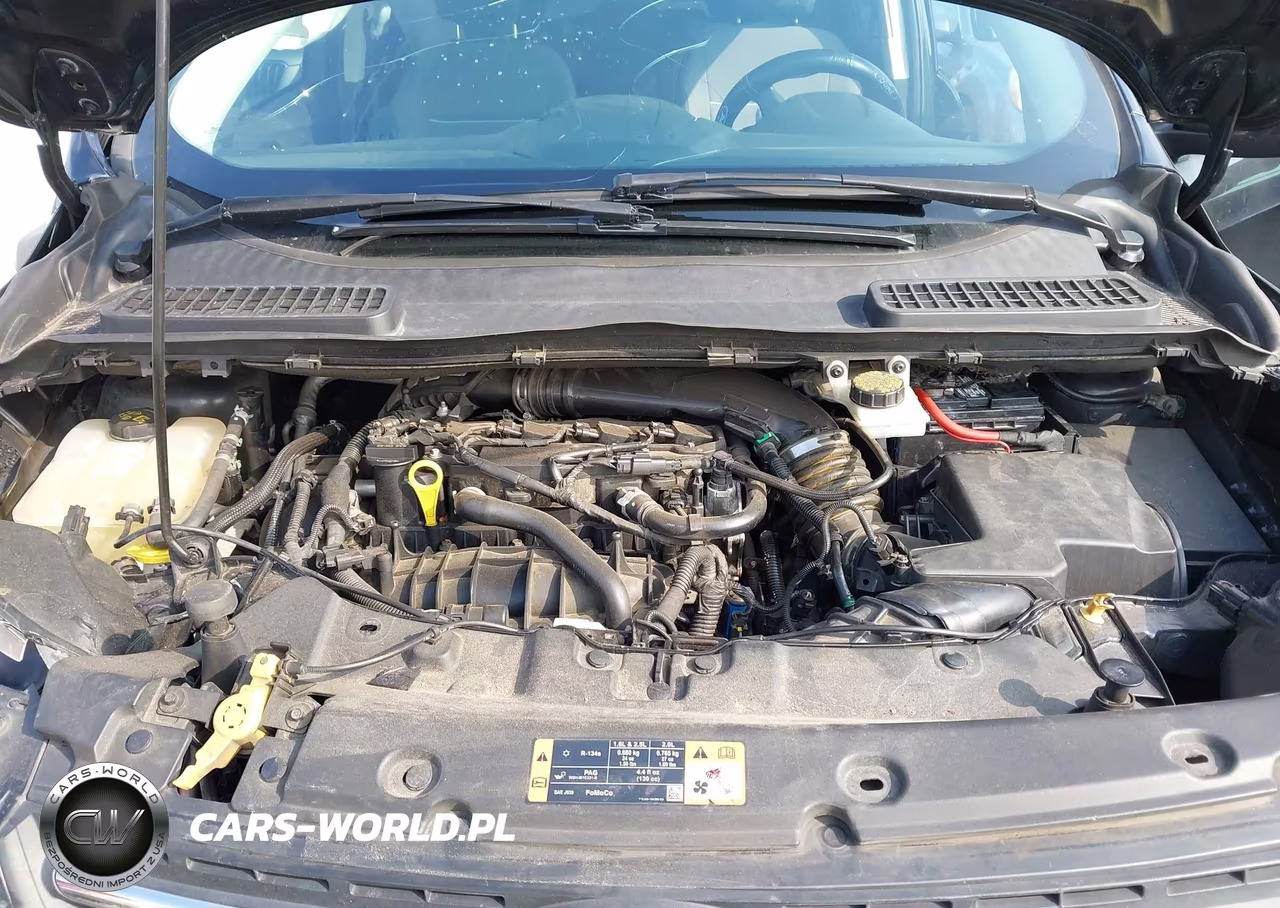 2014 Ford Escape Se VIN:1FMCU9GX0EUC63688 - 10