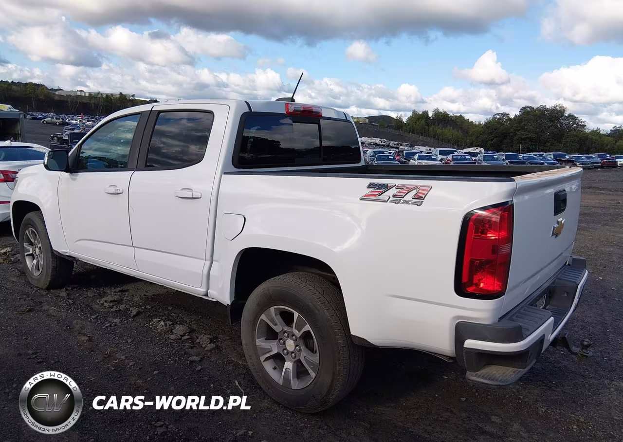 2019 Chevrolet Colorado Z71 VIN:1GCGTDEN1K1147958 - 3
