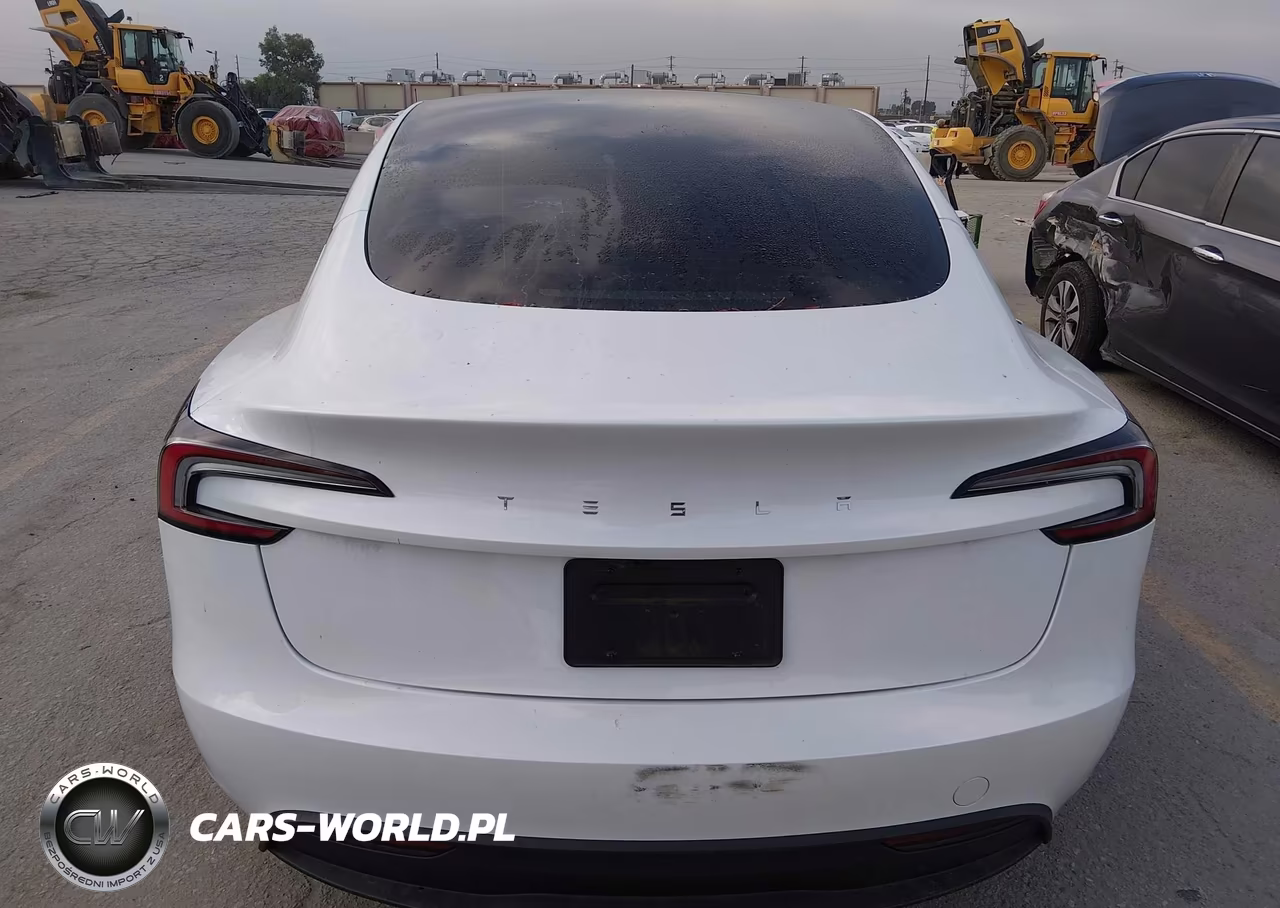 2025 Tesla Model 3 Long Range Rear-Wheel Drive-Standard Rear-Wheel Drive VIN:5YJ3E1EA3SF991043 - 16
