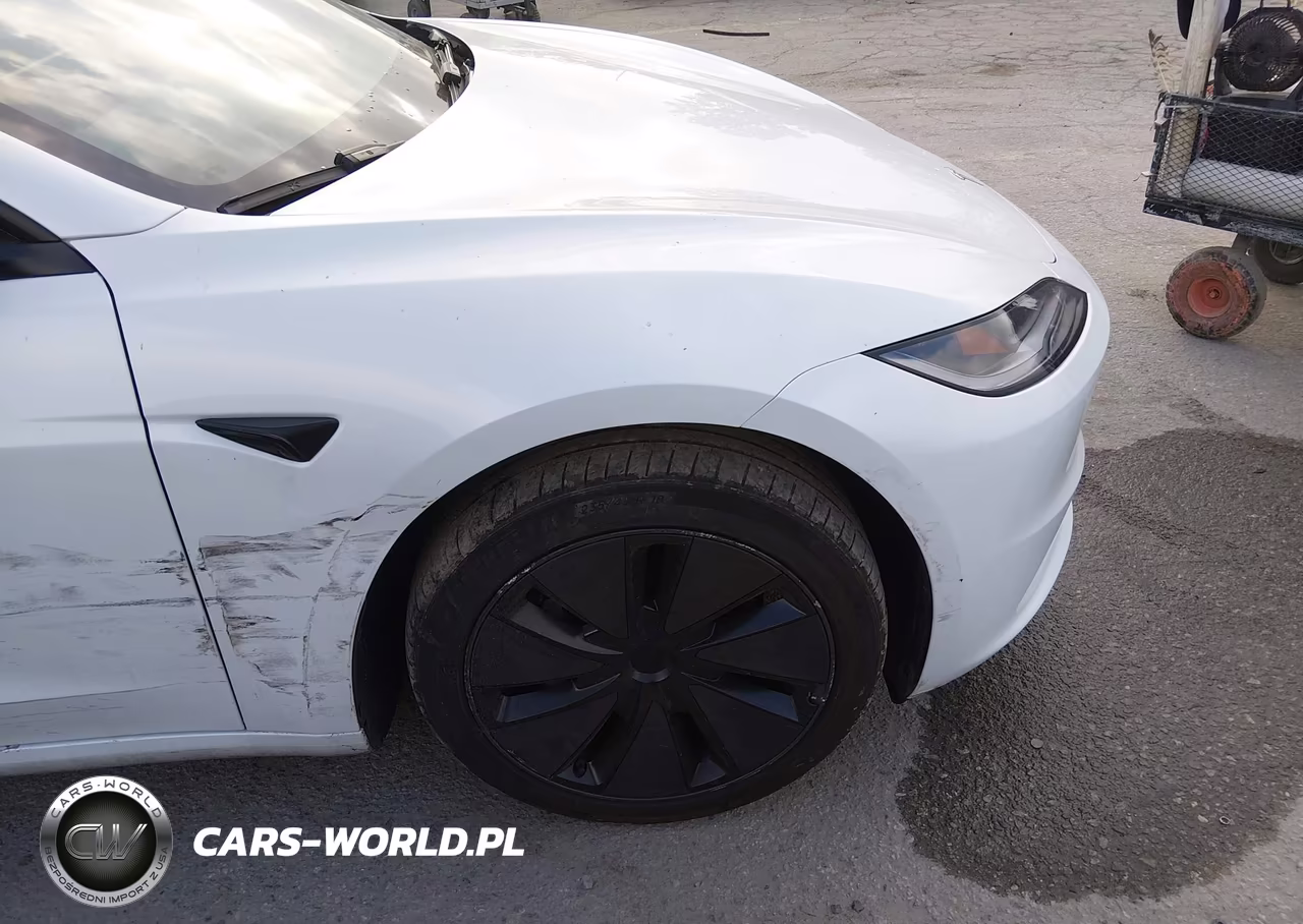 2025 Tesla Model 3 Long Range Rear-Wheel Drive-Standard Rear-Wheel Drive VIN:5YJ3E1EA3SF991043 - 19