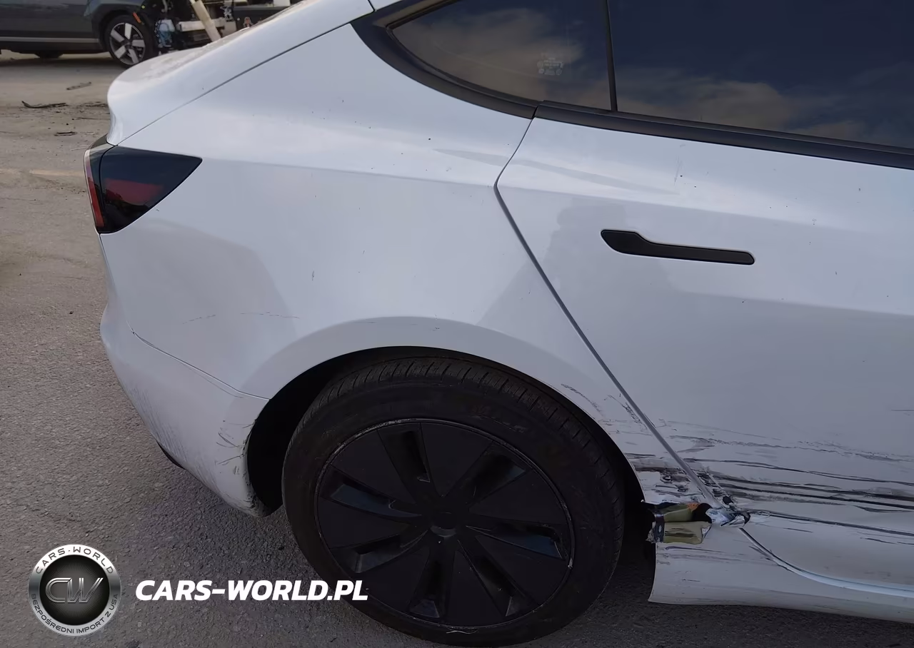 2025 Tesla Model 3 Long Range Rear-Wheel Drive-Standard Rear-Wheel Drive VIN:5YJ3E1EA3SF991043 - 20