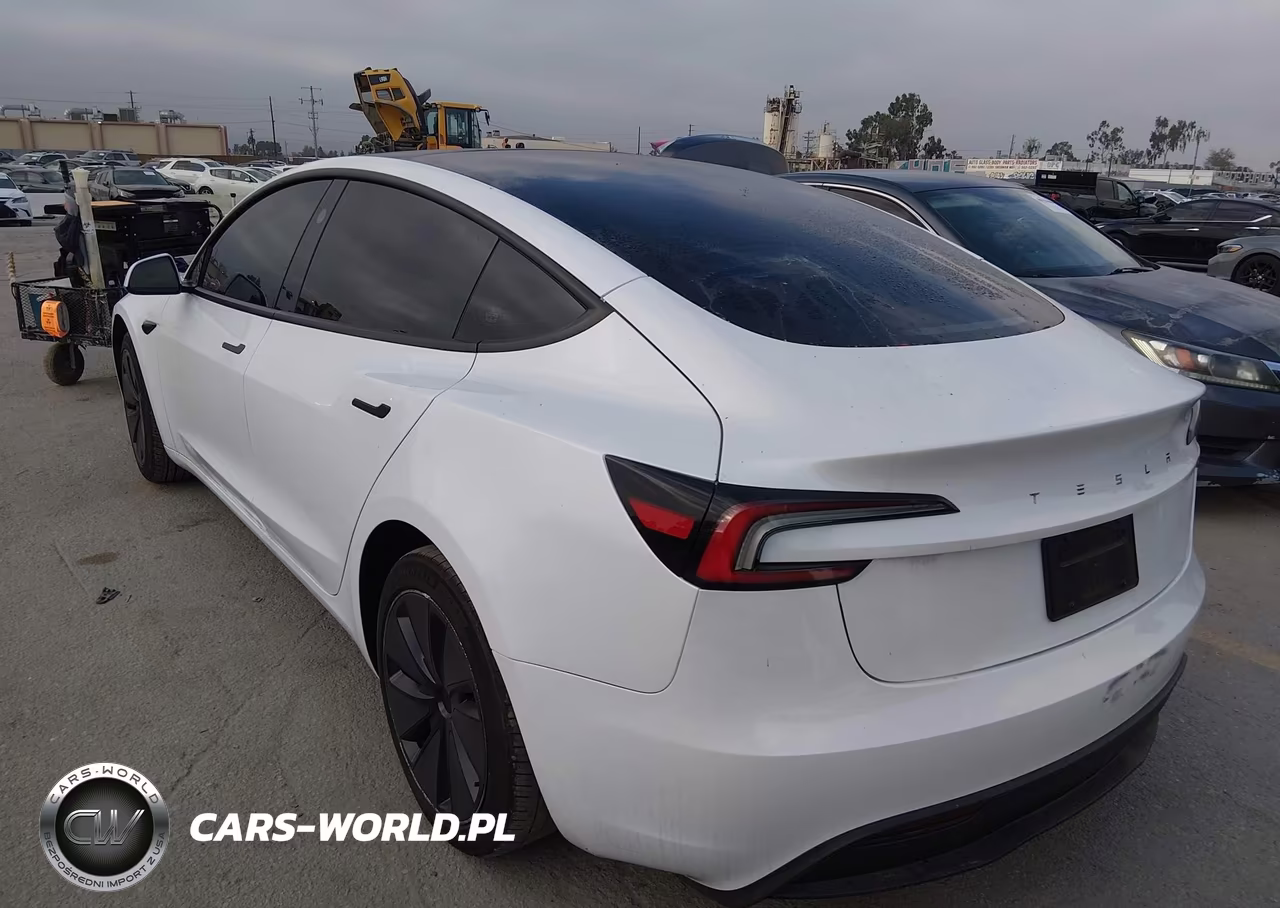 2025 Tesla Model 3 Long Range Rear-Wheel Drive-Standard Rear-Wheel Drive VIN:5YJ3E1EA3SF991043 - 3
