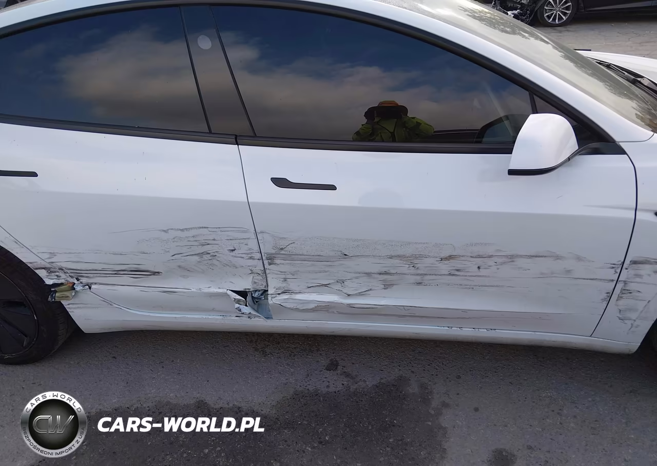 2025 Tesla Model 3 Long Range Rear-Wheel Drive-Standard Rear-Wheel Drive VIN:5YJ3E1EA3SF991043 - 6