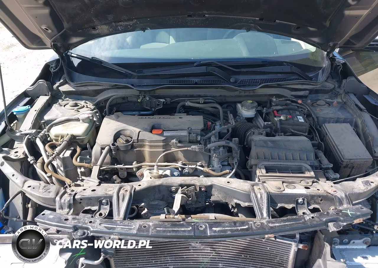 2016 Honda Civic Lx VIN:19XFC2F55GE219229 - 10