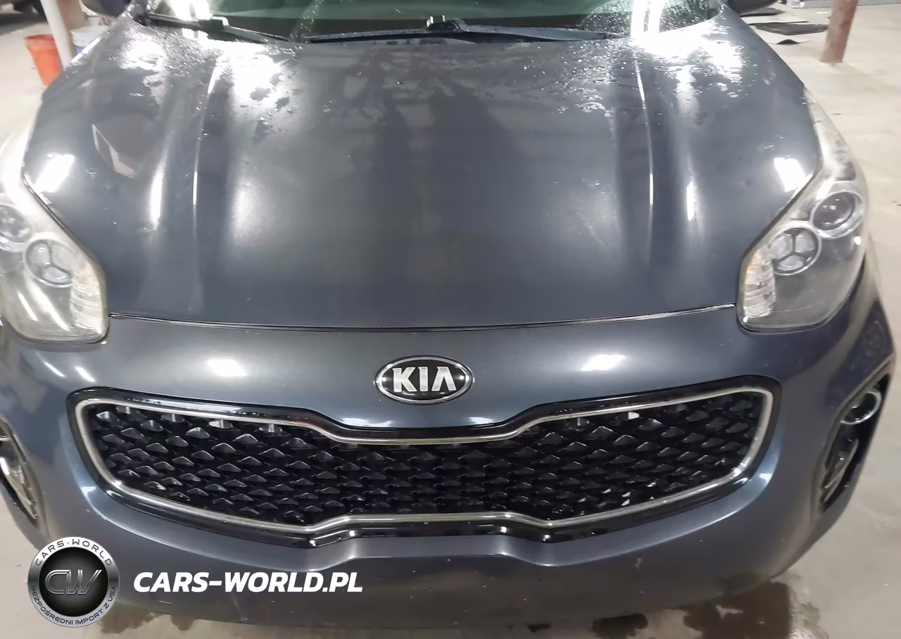 2018 Kia Sportage Lx VIN:KNDPMCAC5J7333025 - 12