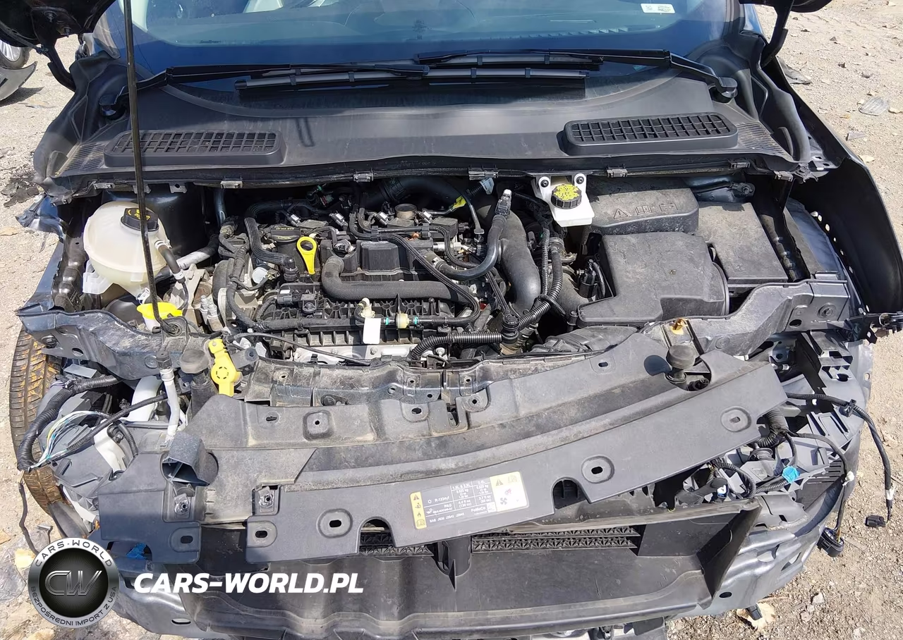 2019 Ford Escape Sel VIN:1FMCU9HD1KUB53149 - 10