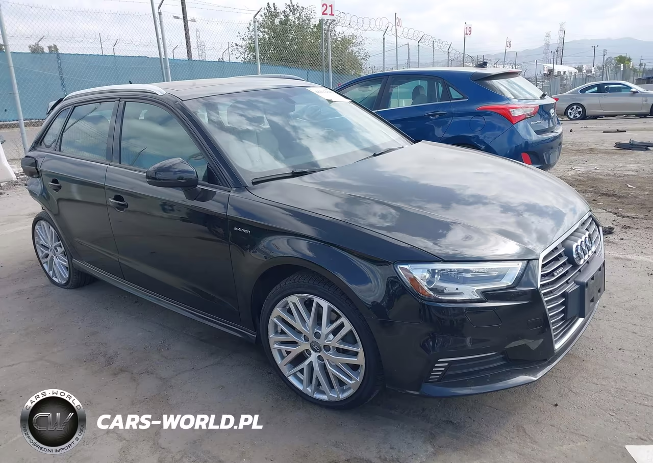 2018 Audi A3 E-Tron 1.4T Premium-1.4T Tech Premium VIN:WAUUPBFF3JA081430 - 1