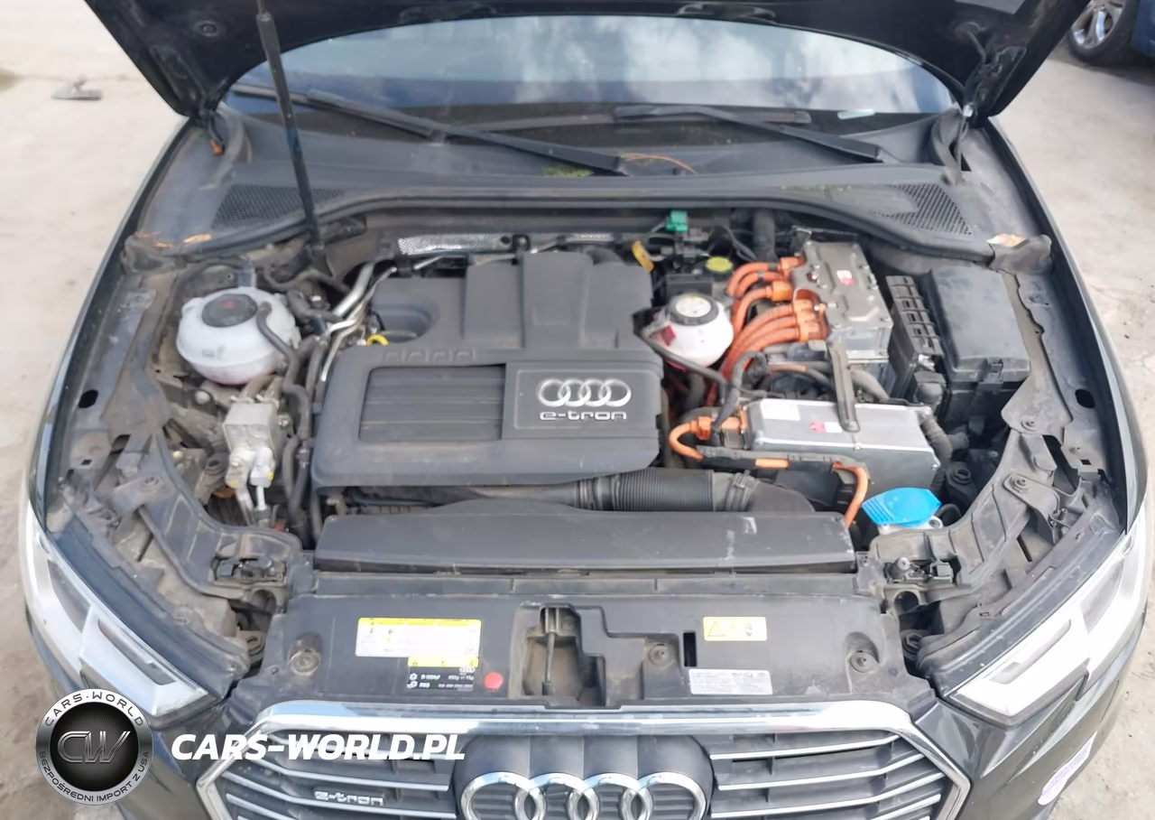 2018 Audi A3 E-Tron 1.4T Premium-1.4T Tech Premium VIN:WAUUPBFF3JA081430 - 10