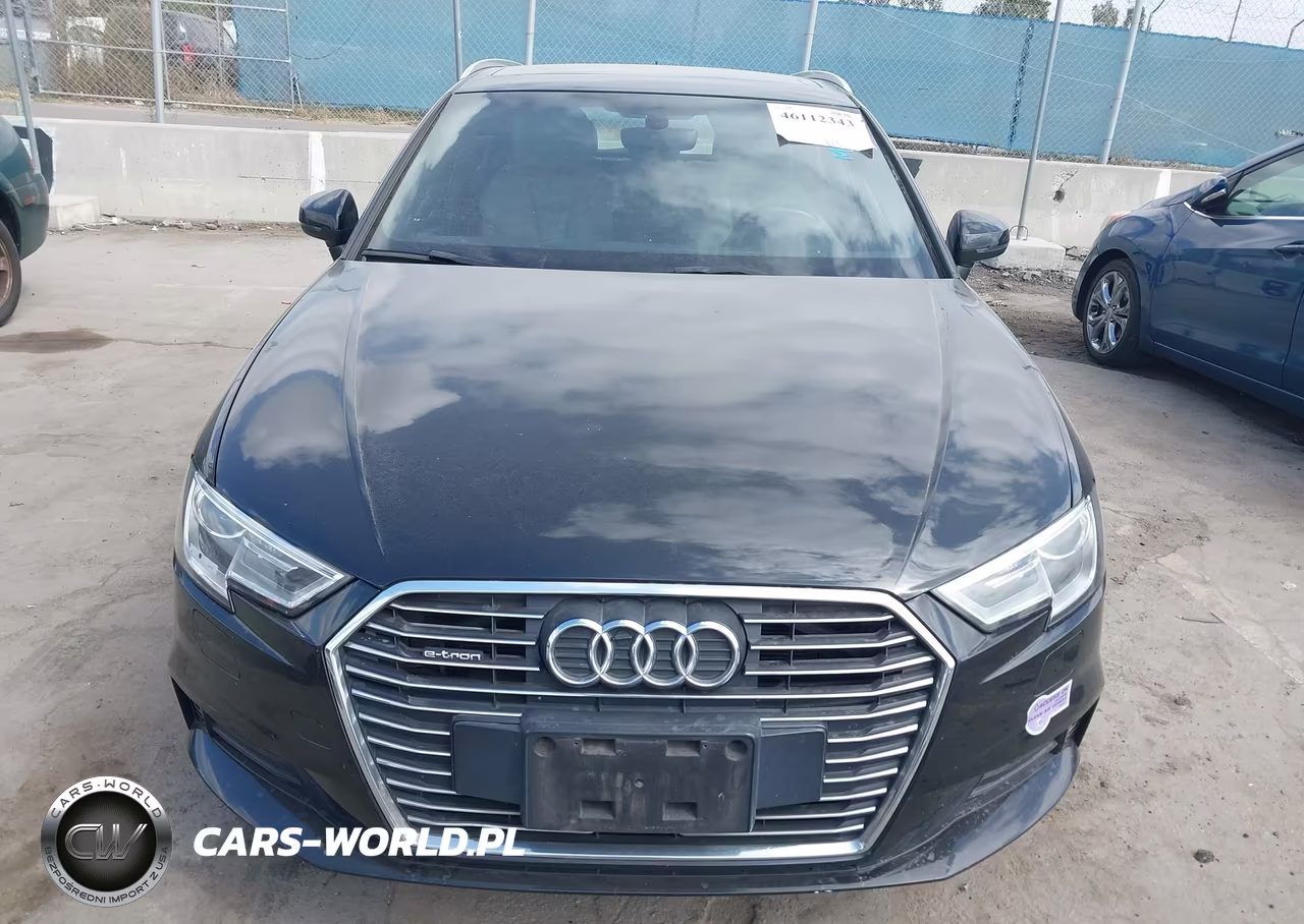 2018 Audi A3 E-Tron 1.4T Premium-1.4T Tech Premium VIN:WAUUPBFF3JA081430 - 12