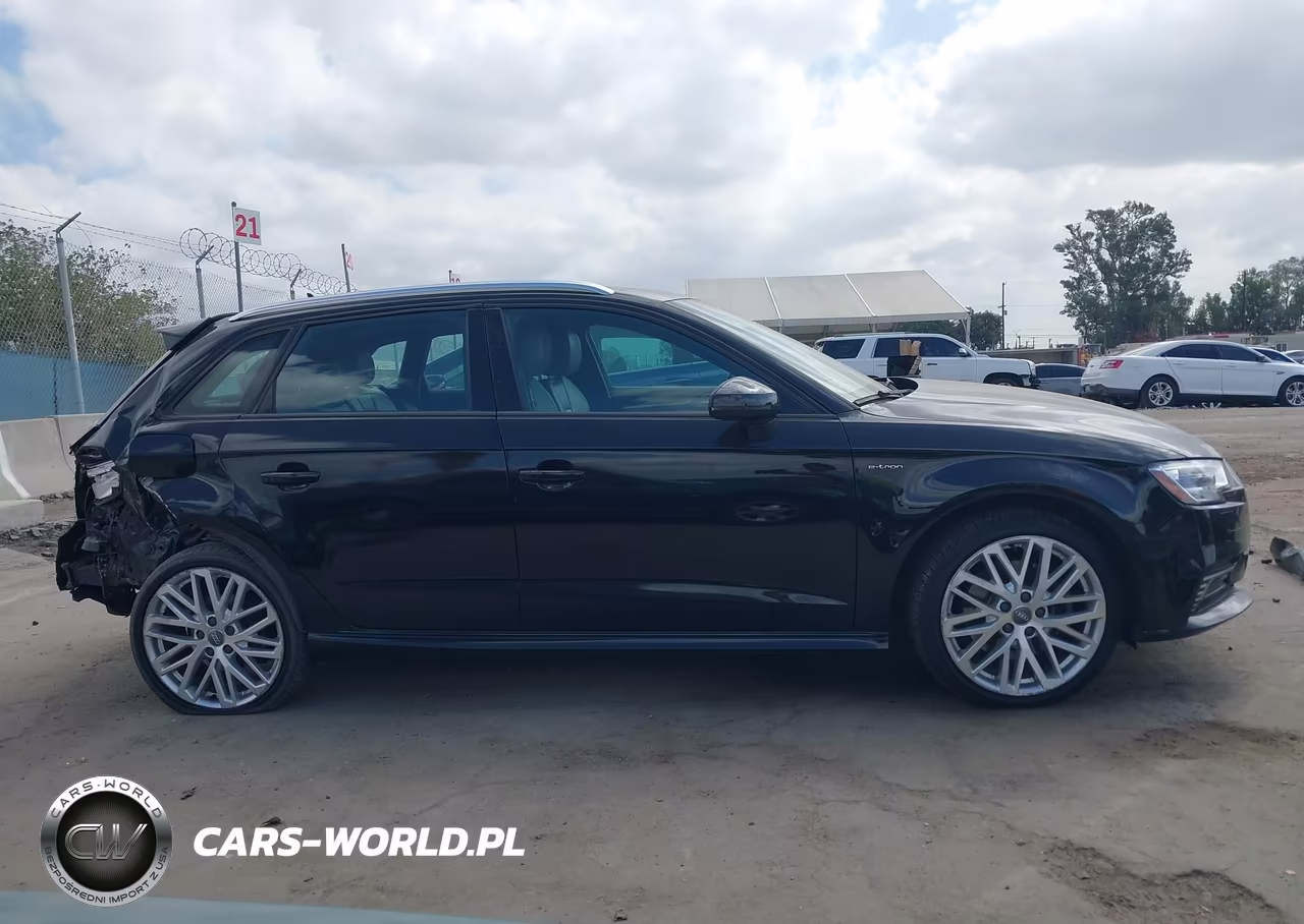 2018 Audi A3 E-Tron 1.4T Premium-1.4T Tech Premium VIN:WAUUPBFF3JA081430 - 13