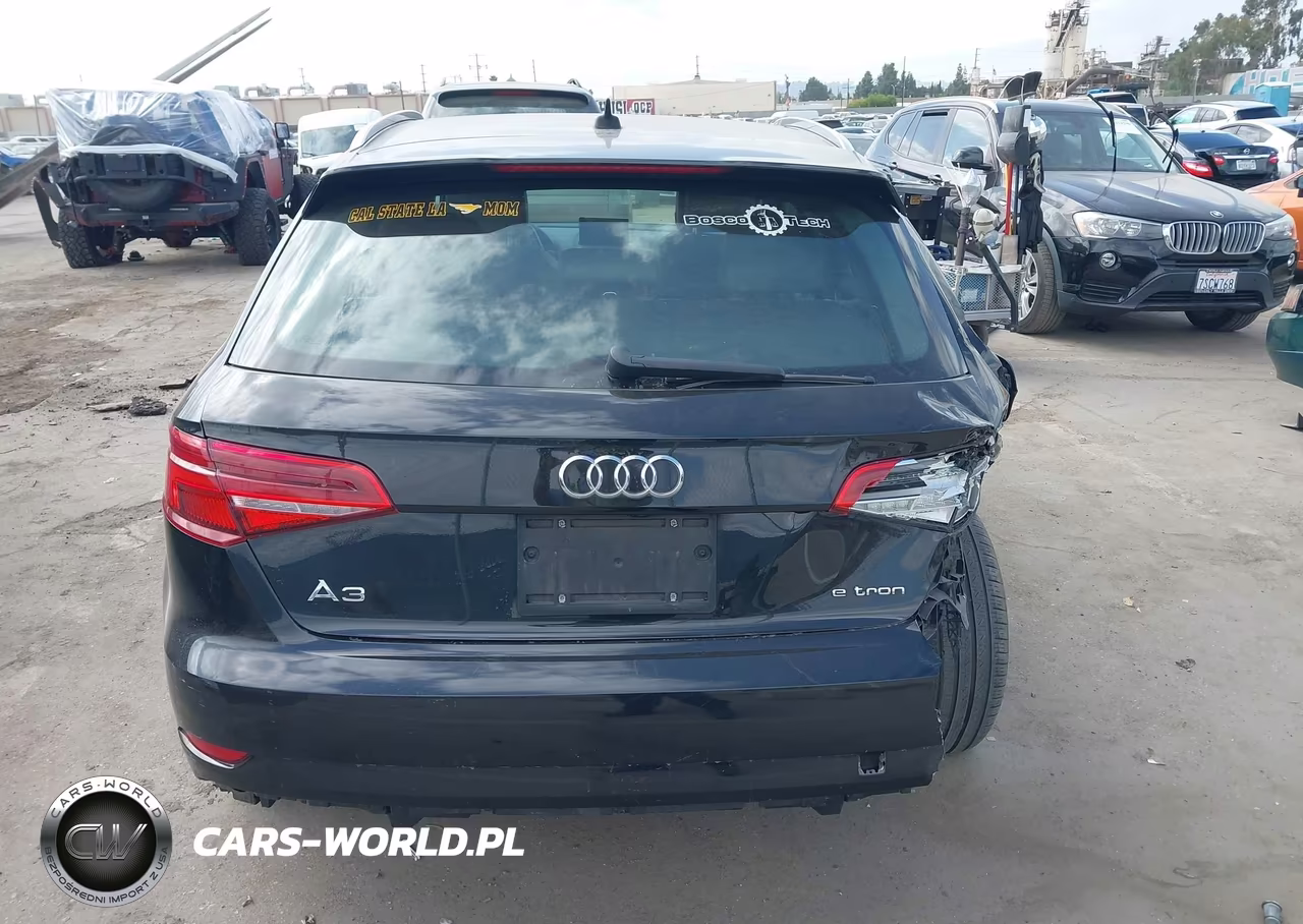 2018 Audi A3 E-Tron 1.4T Premium-1.4T Tech Premium VIN:WAUUPBFF3JA081430 - 16