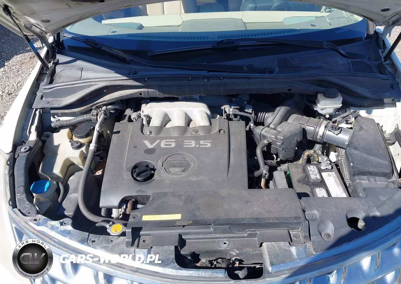 2006 Nissan Murano Sl VIN:JN8AZ08W46W544174 - 10