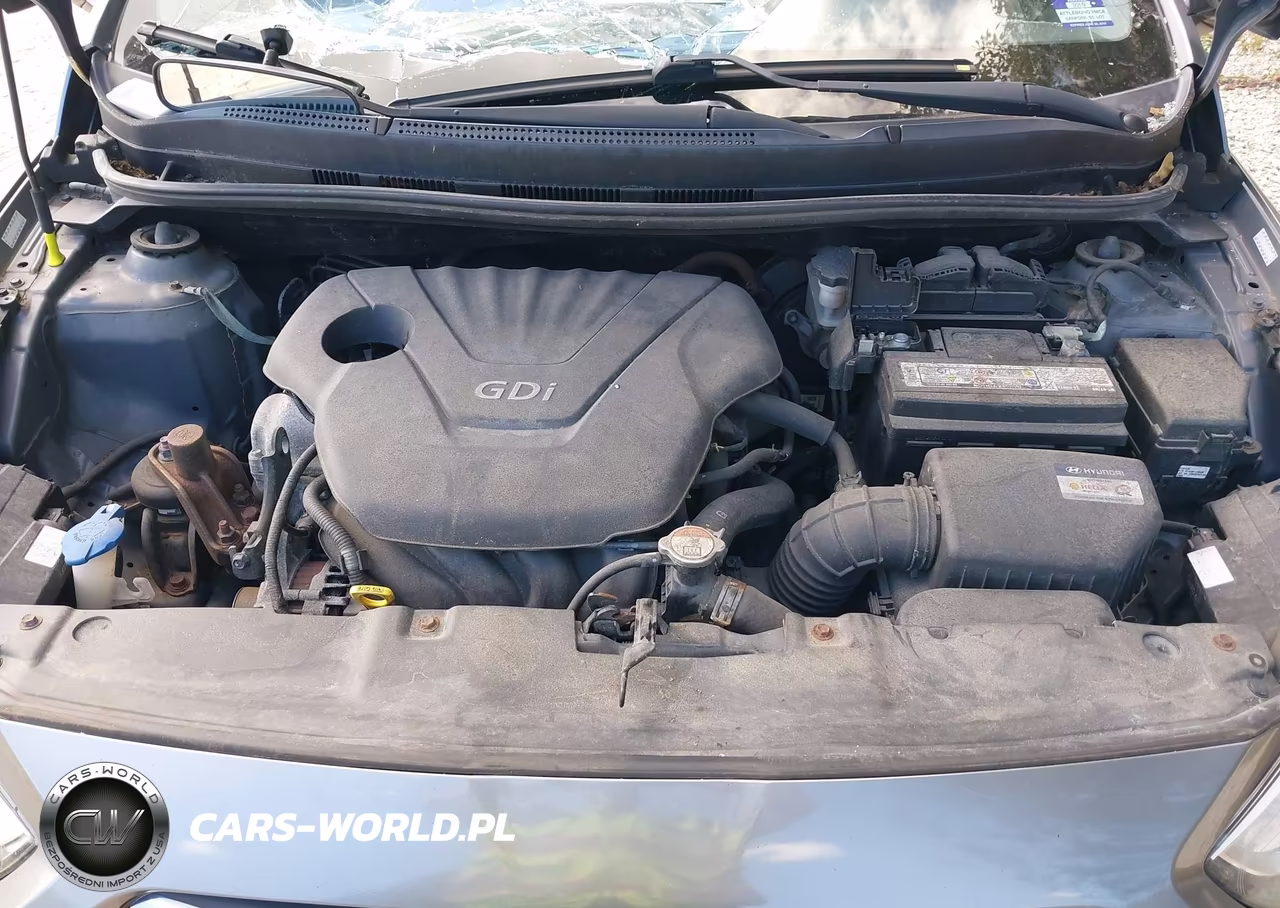2016 Hyundai Accent Se VIN:KMHCT4AE9GU112896 - 10