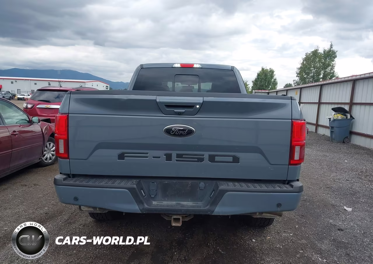 2020 Ford F-150 Lariat VIN:1FTFW1E47LKE52319 - 17