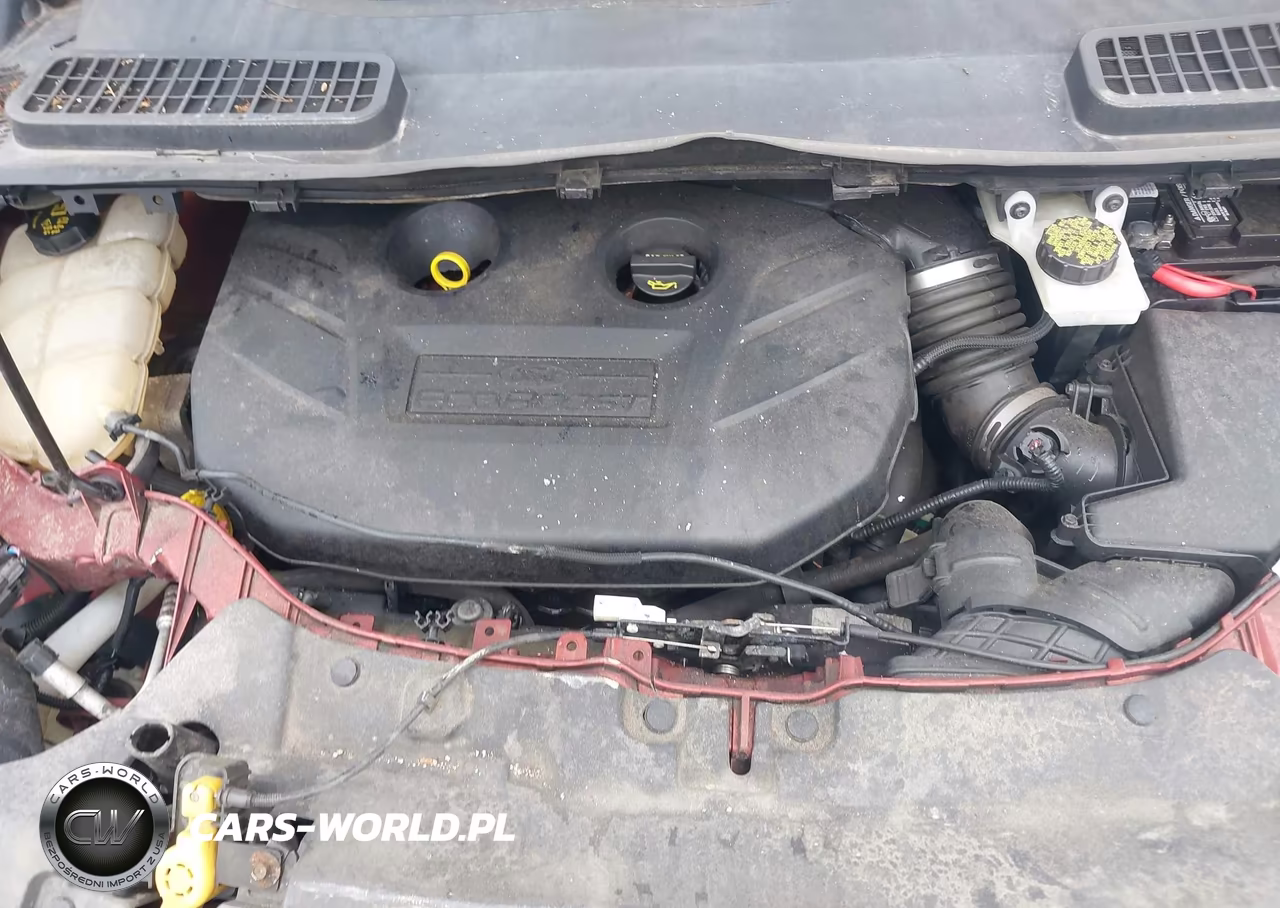 2014 Ford Escape Se VIN:1FMCU9G9XEUC14192 - 10
