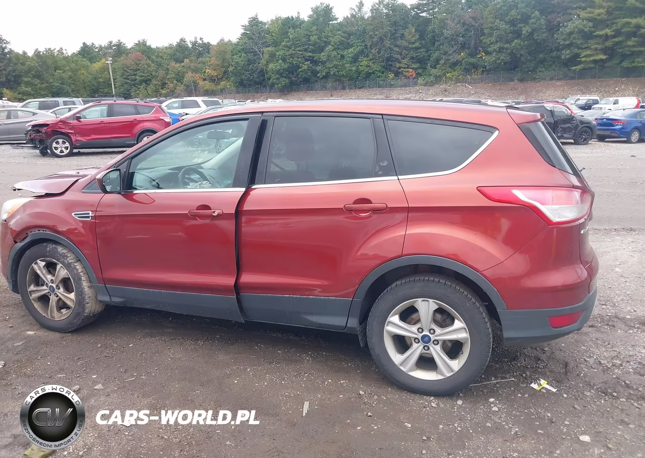 2014 Ford Escape Se VIN:1FMCU9G9XEUC14192 - 14
