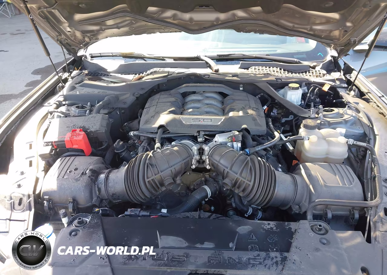 2024 Ford Mustang Gt Premium VIN:1FAGP8FF9R5104402 - 10