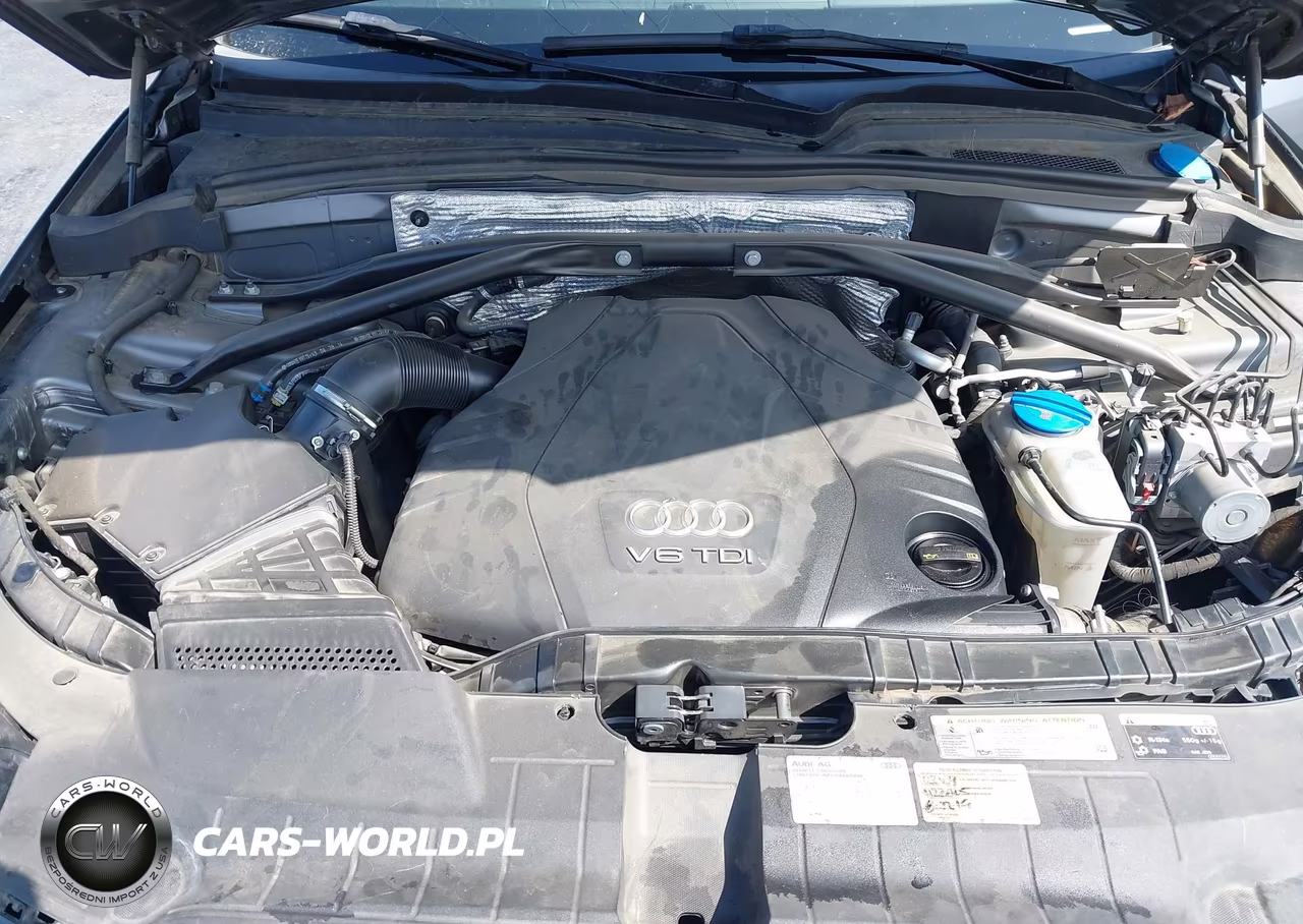 2015 Audi Q5 3.0 Tdi Premium Plus VIN:WA1CMAFP1FA058448 - 10