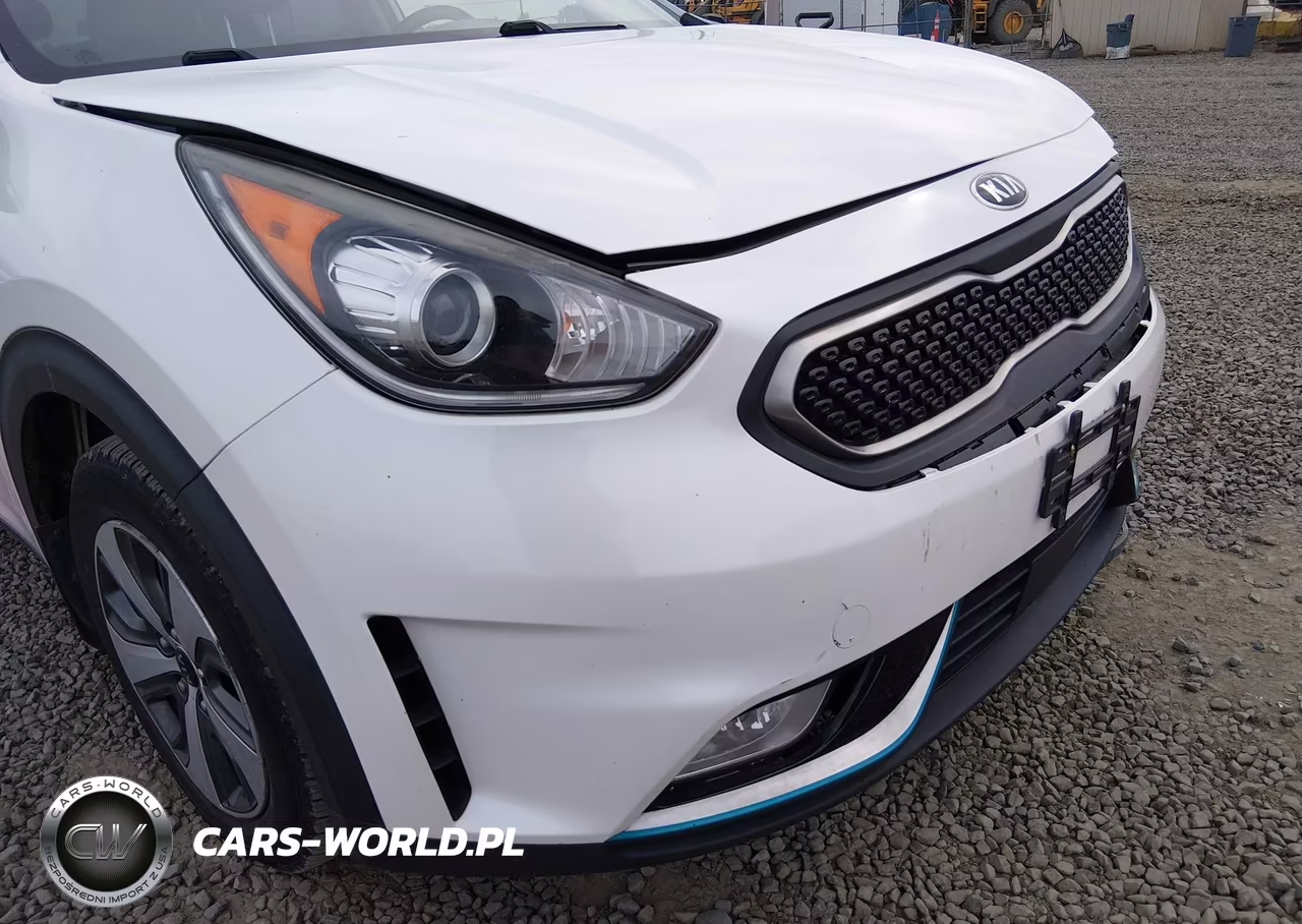 2018 Kia Niro Plug-In Hybrid Ex VIN:KNDCD3LD2J5145126 - 18
