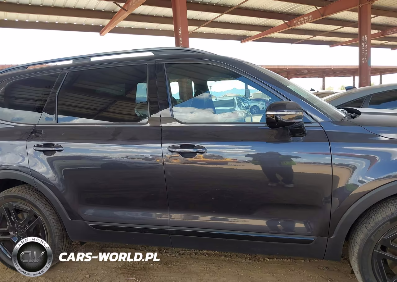 2025 Kia Telluride Sx Prestige X-Line VIN:5XYP5DGC4SG616644 - 14