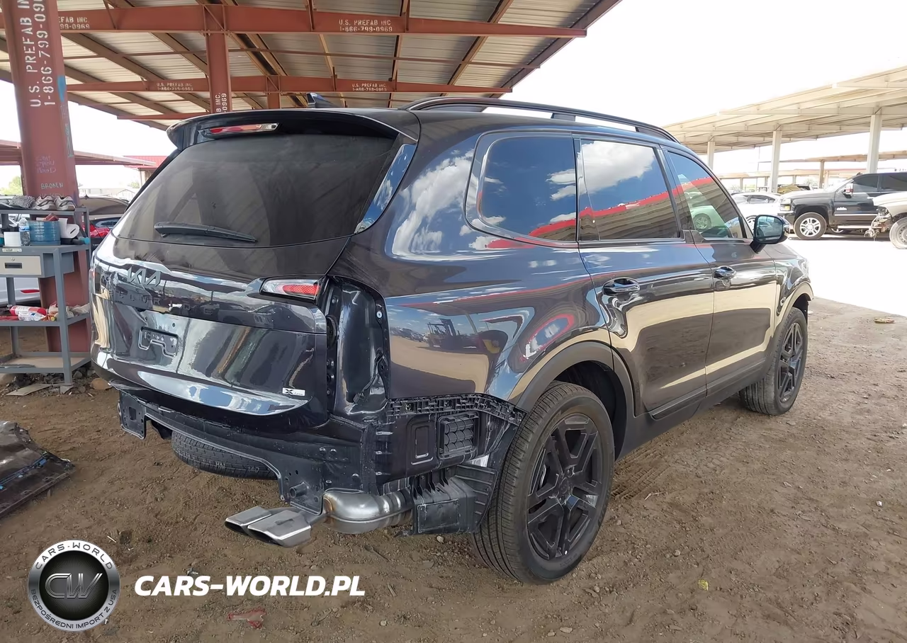 2025 Kia Telluride Sx Prestige X-Line VIN:5XYP5DGC4SG616644 - 4