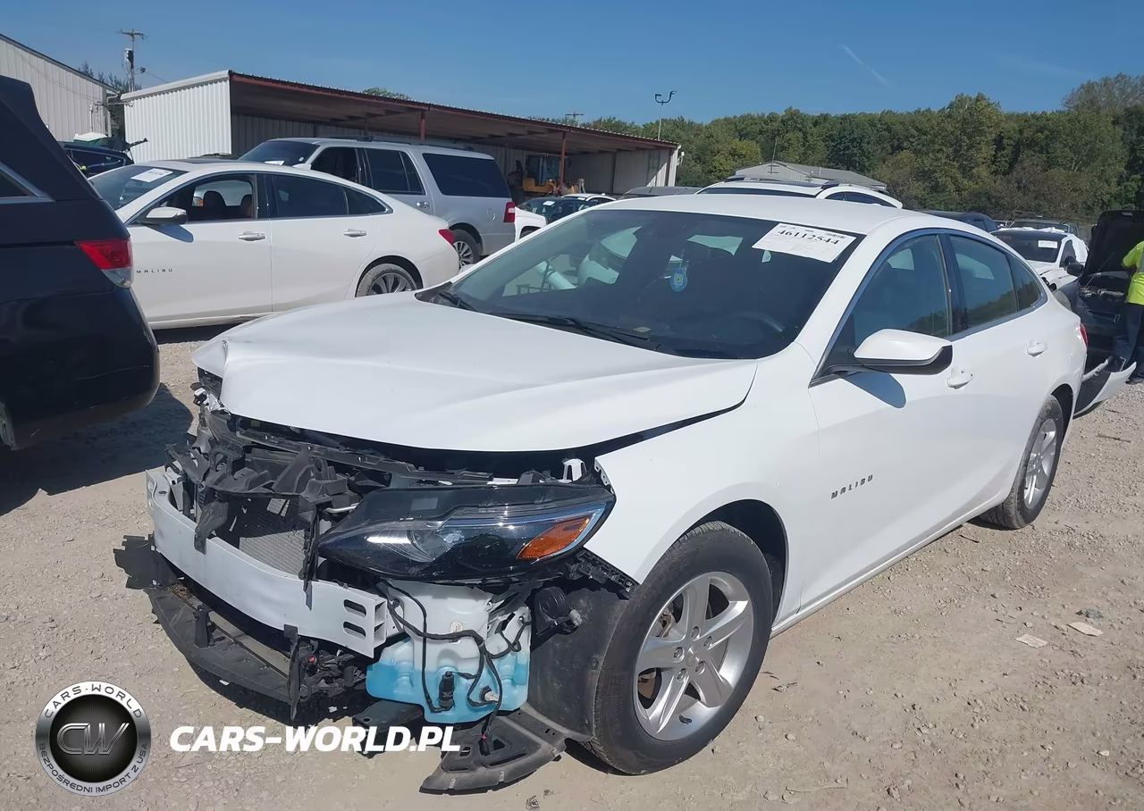 2024 Chevrolet Malibu Fwd 1Lt VIN:1G1ZD5ST8RF127937 - 2