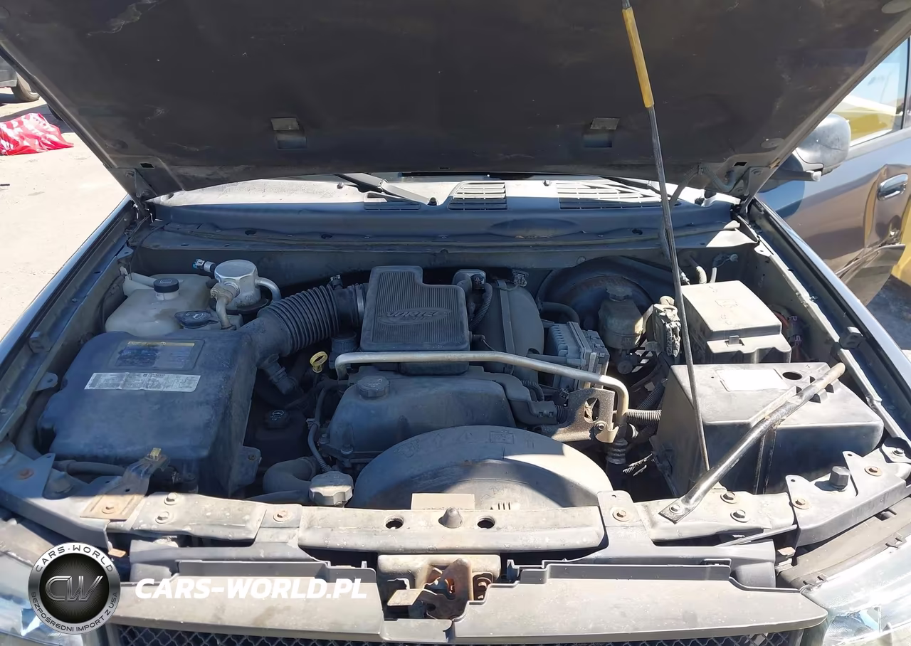 2004 Chevrolet Trailblazer Lt VIN:1GNDS13S742156150 - 10