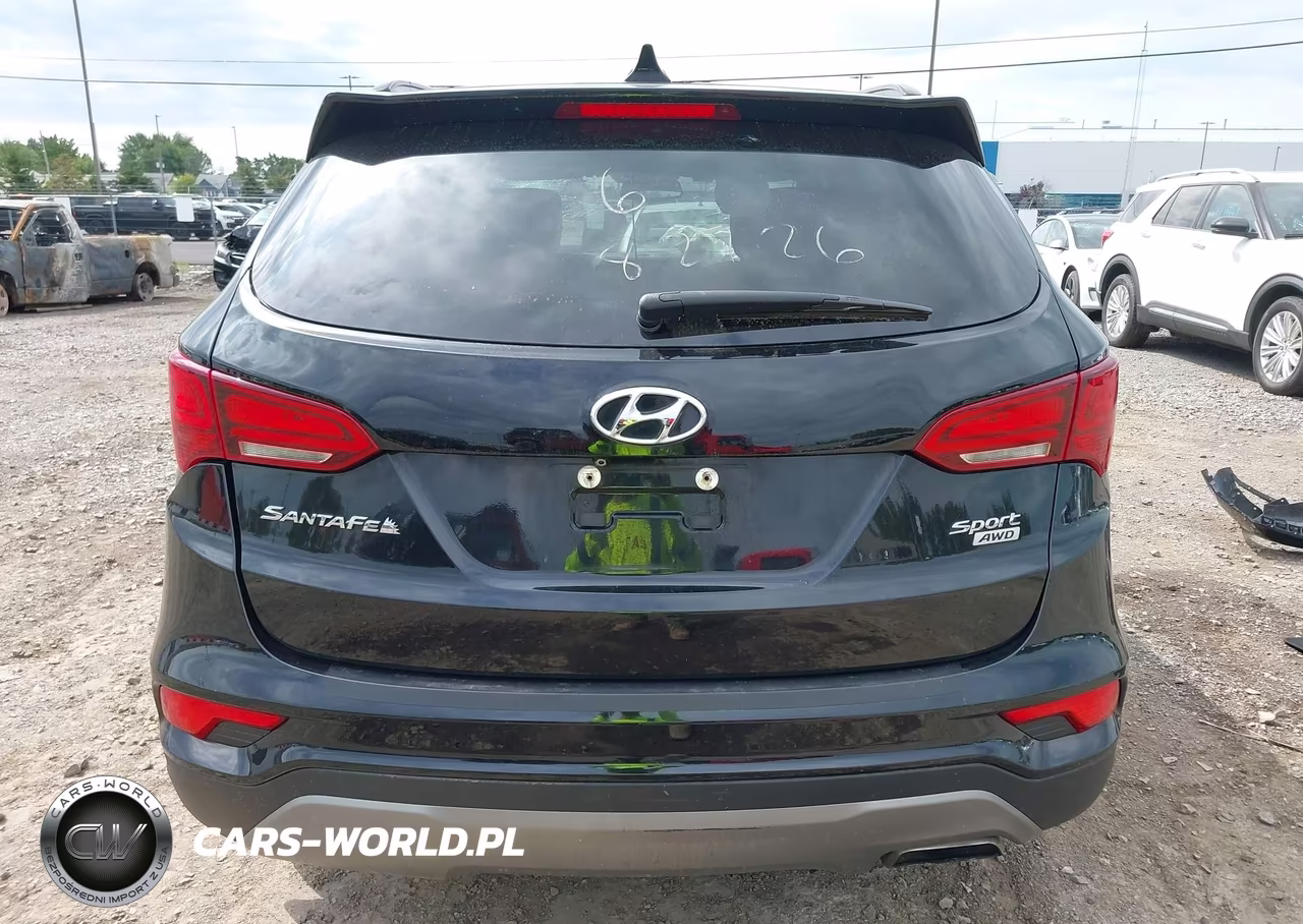 2017 Hyundai Santa Fe Sport 2.4L VIN:5NMZUDLB1HH051731 - 17