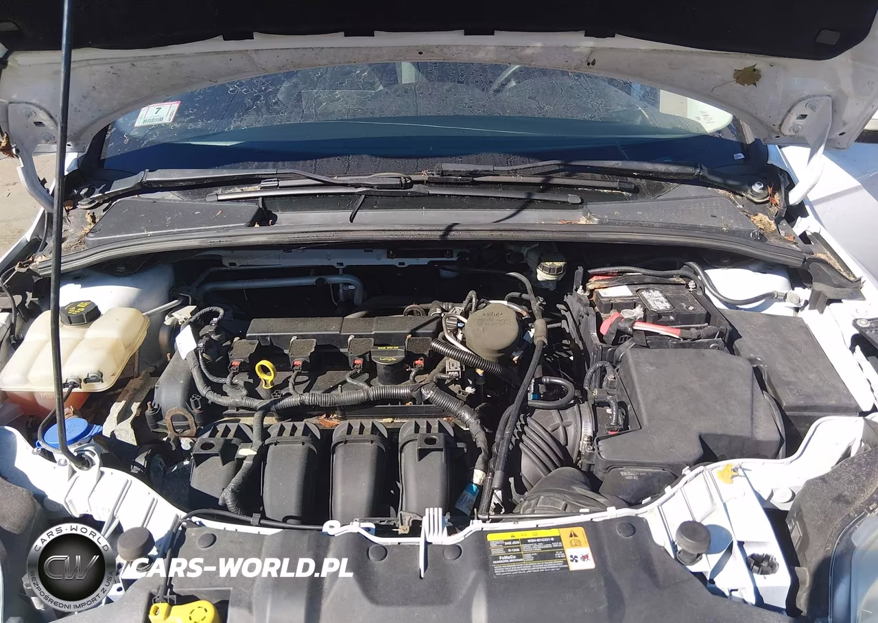2014 Ford Focus Se VIN:1FADP3F28EL188026 - 10