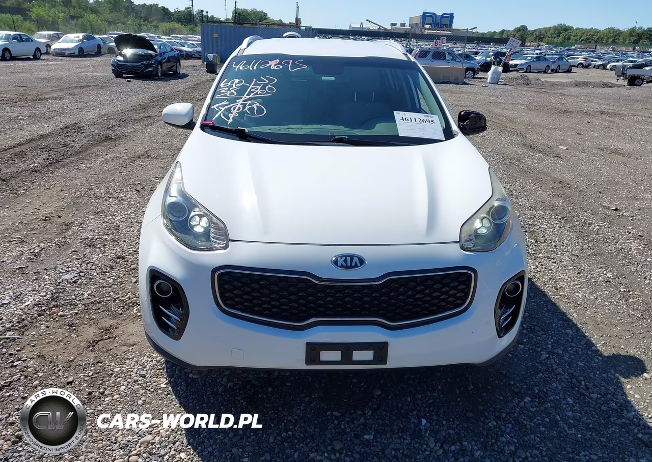 2019 Kia Sportage Lx VIN:KNDPMCACXK7496366 - 12