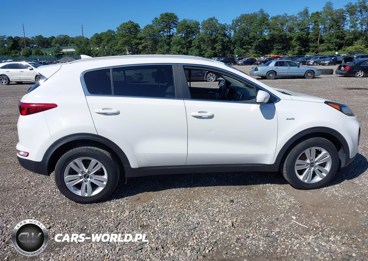 2019 Kia Sportage Lx VIN:KNDPMCACXK7496366 - 13