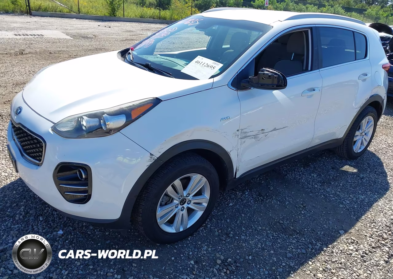 2019 Kia Sportage Lx VIN:KNDPMCACXK7496366 - 2