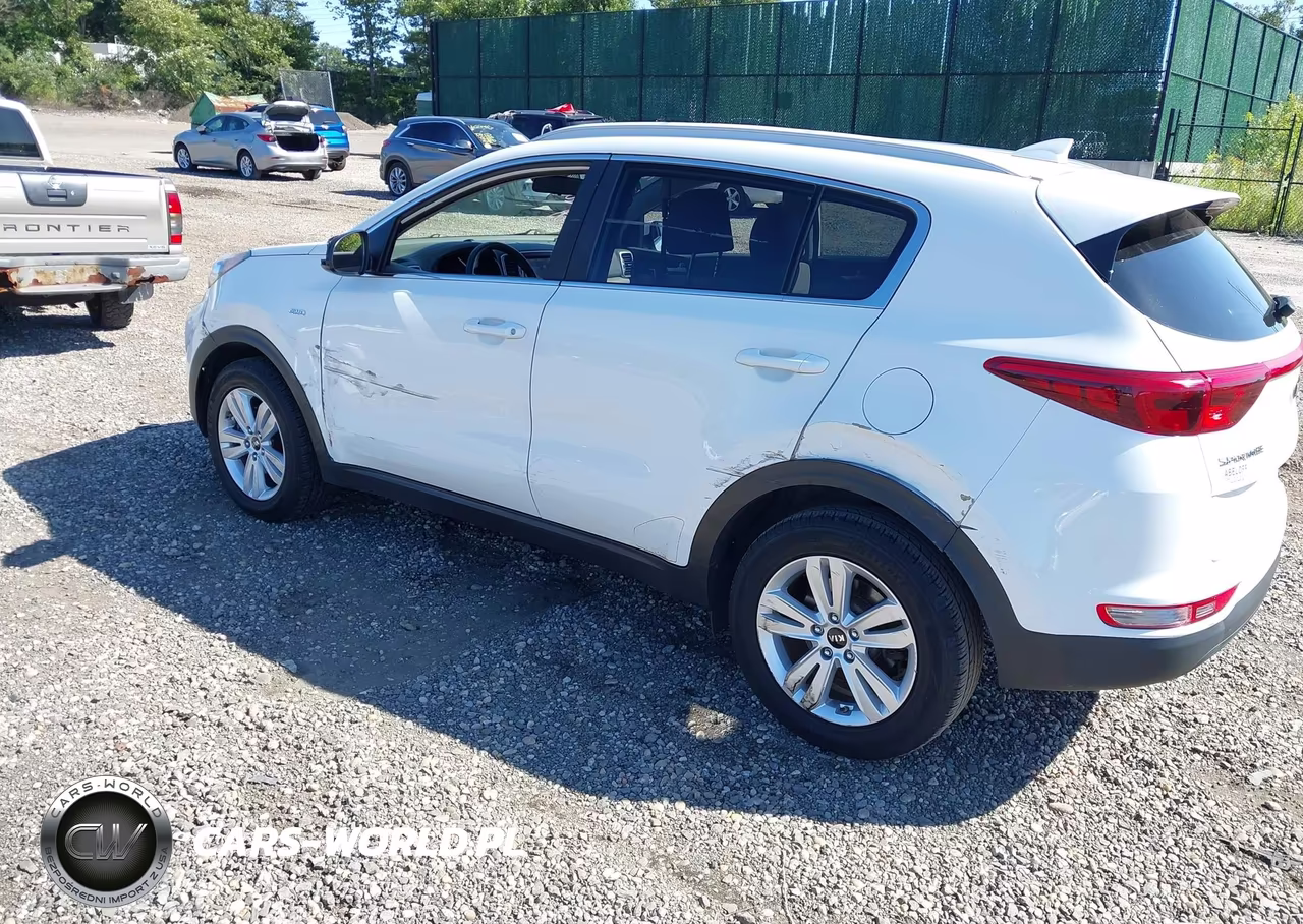 2019 Kia Sportage Lx VIN:KNDPMCACXK7496366 - 3