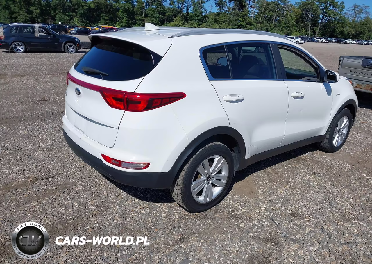 2019 Kia Sportage Lx VIN:KNDPMCACXK7496366 - 4