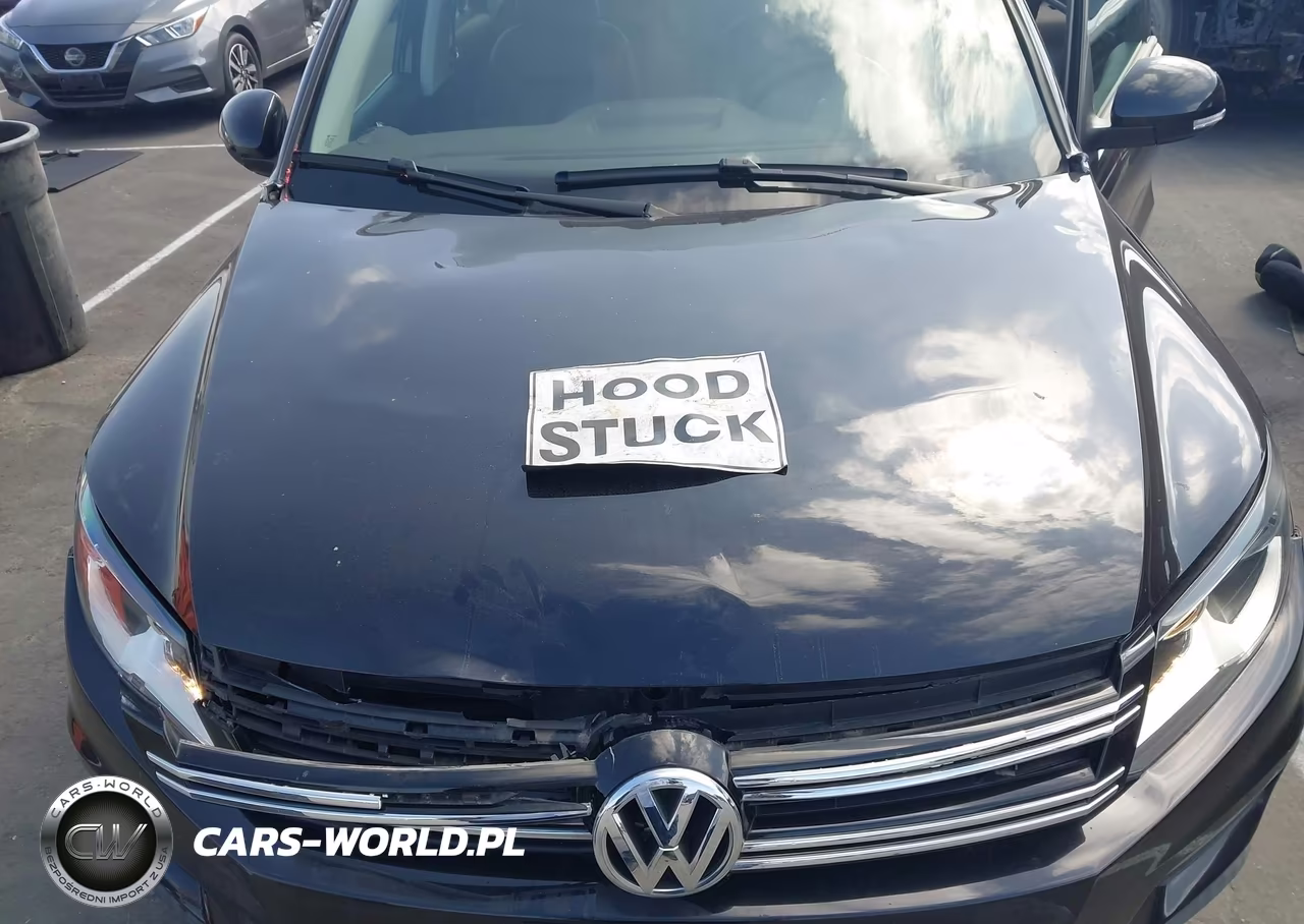 2017 Volkswagen Tiguan 2.0T-2.0T S VIN:WVGAV7AX2HK014326 - 10