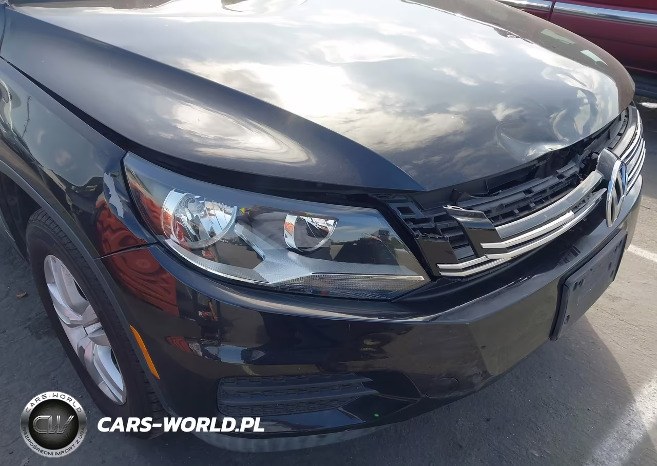 2017 Volkswagen Tiguan 2.0T-2.0T S VIN:WVGAV7AX2HK014326 - 12