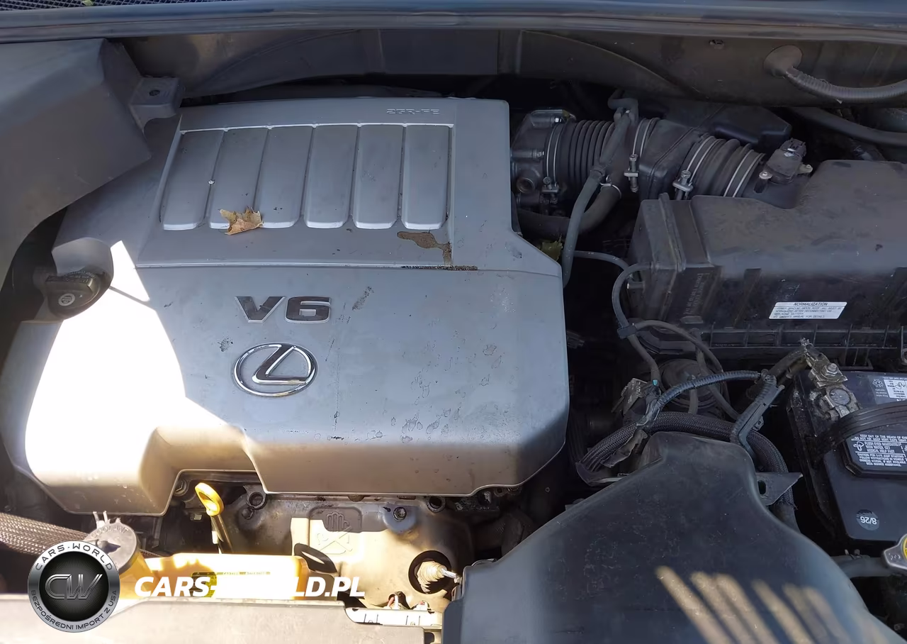 2007 Lexus Rx 350 VIN:2T2HK31U87C034585 - 10