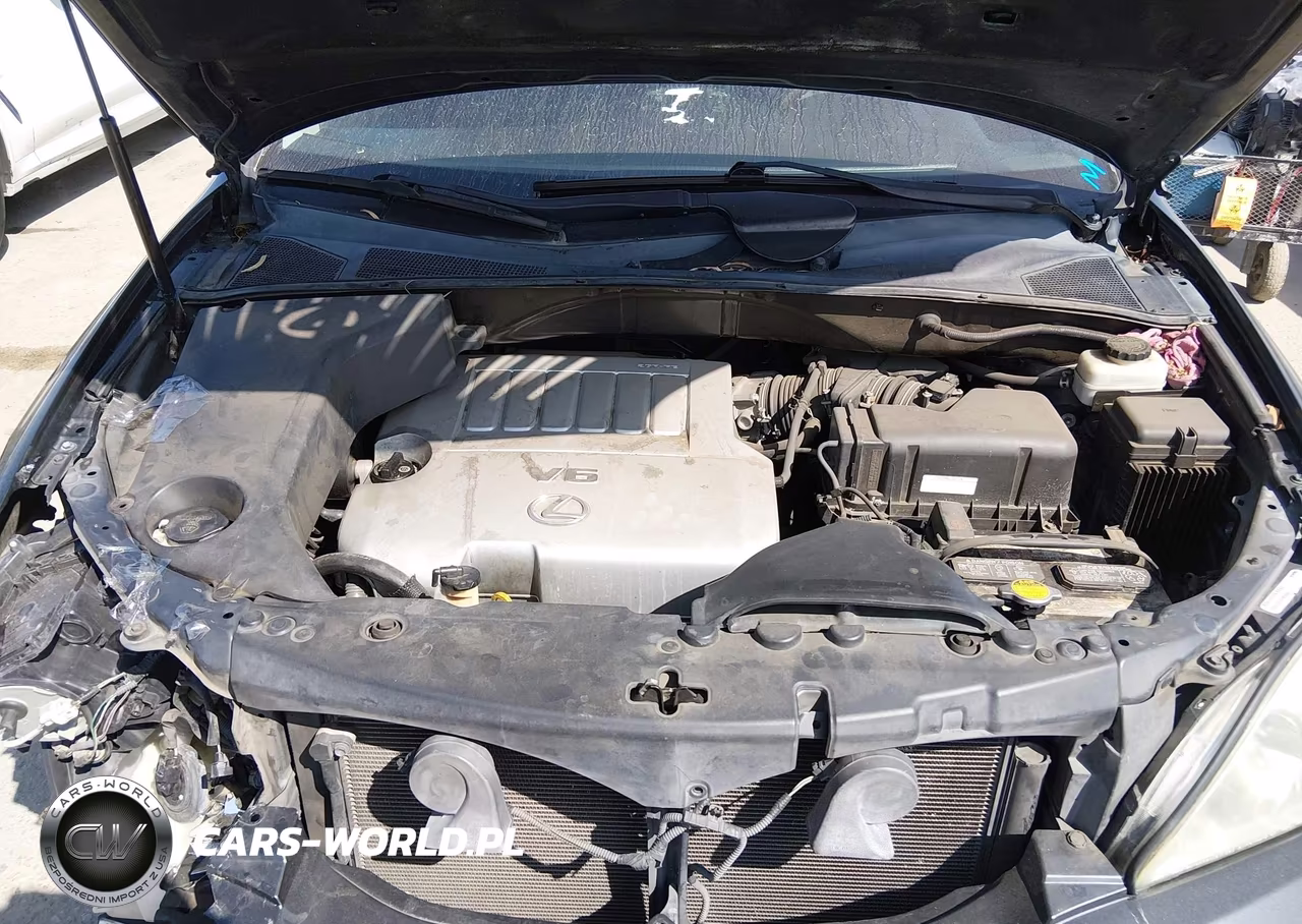 2009 Lexus Rx 350 VIN:2T2GK31U09C071094 - 10