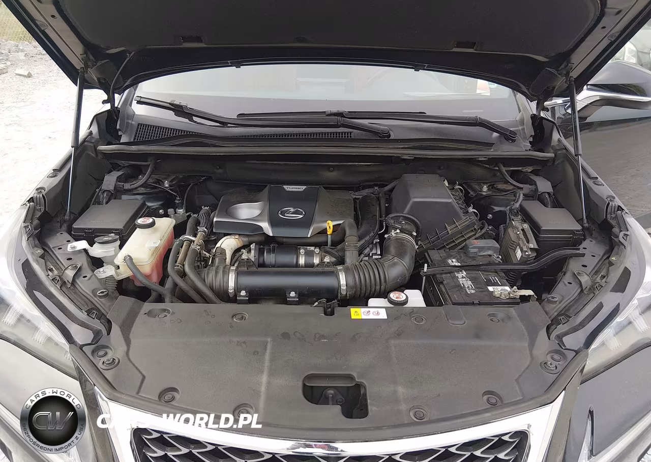 2016 Lexus Nx 200T F Sport VIN:JTJBARBZ4G2095020 - 10