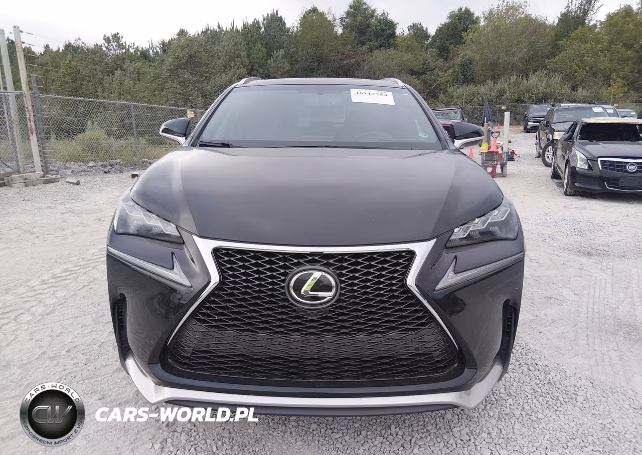 2016 Lexus Nx 200T F Sport VIN:JTJBARBZ4G2095020 - 12