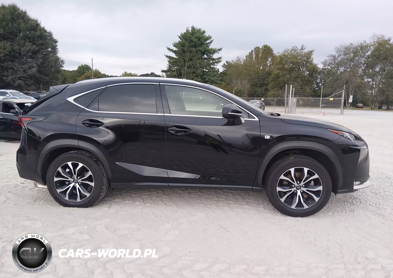 2016 Lexus Nx 200T F Sport VIN:JTJBARBZ4G2095020 - 13