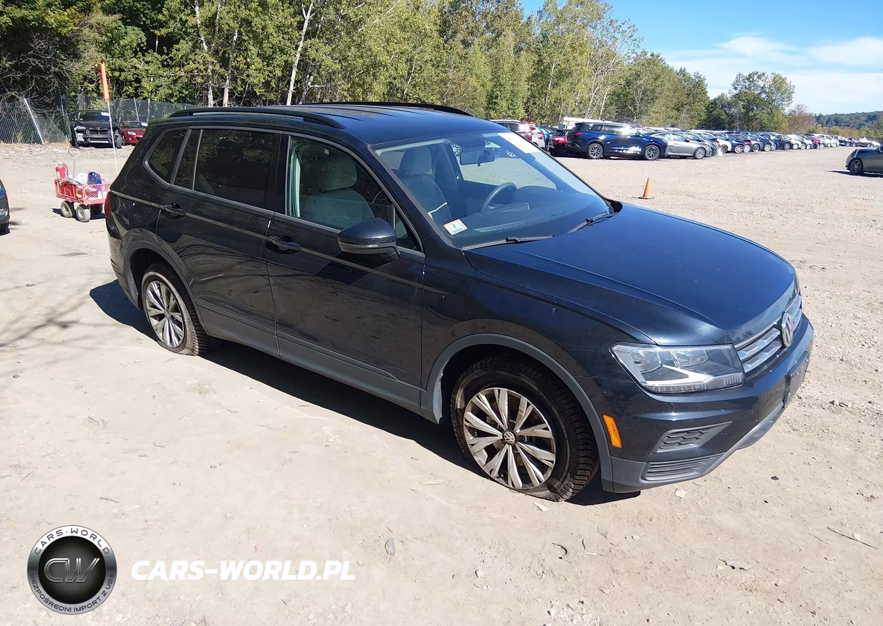 2019 Volkswagen Tiguan 2.0T S VIN:3VV0B7AX7KM046599 - 1