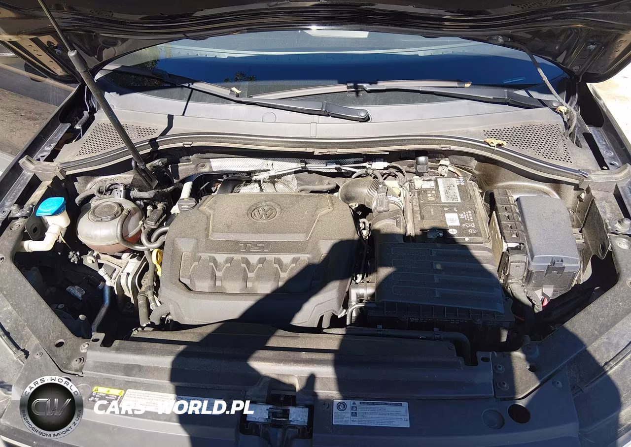 2019 Volkswagen Tiguan 2.0T S VIN:3VV0B7AX7KM046599 - 10