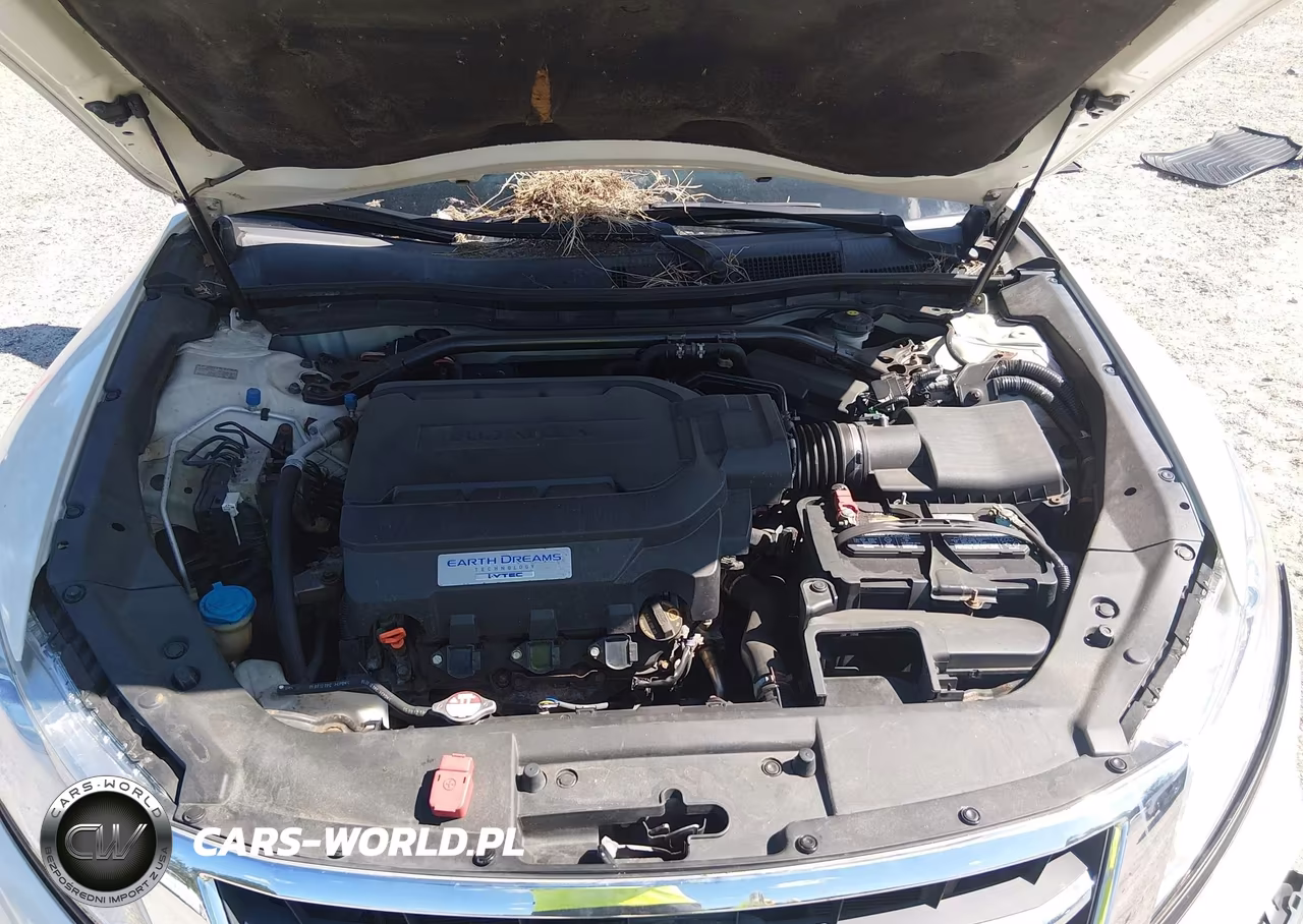 2013 Honda Crosstour Ex-L V6 VIN:5J6TF2H50DL004474 - 10