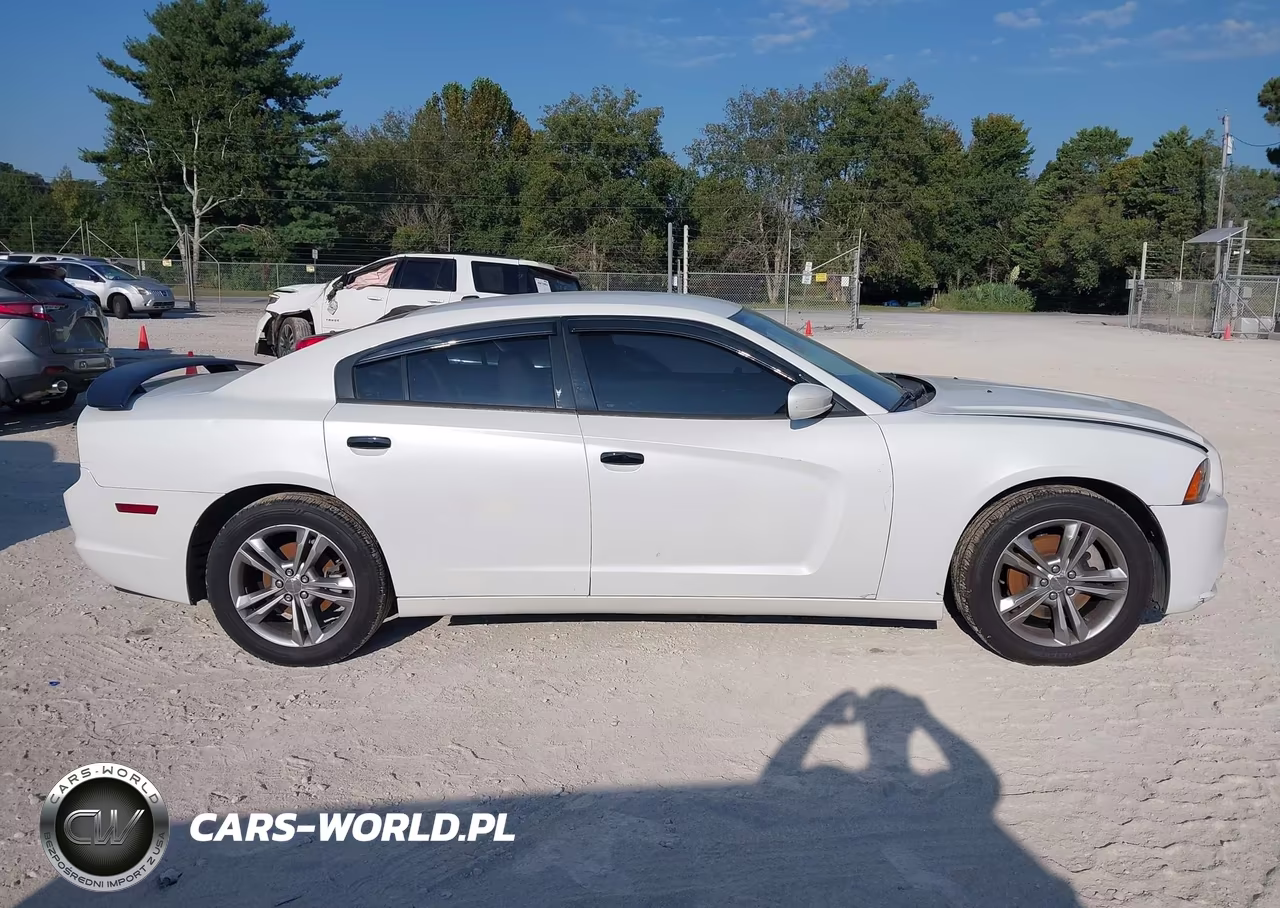 2013 Dodge Charger Sxt Plus VIN:2C3CDXJG9DH594955 - 13