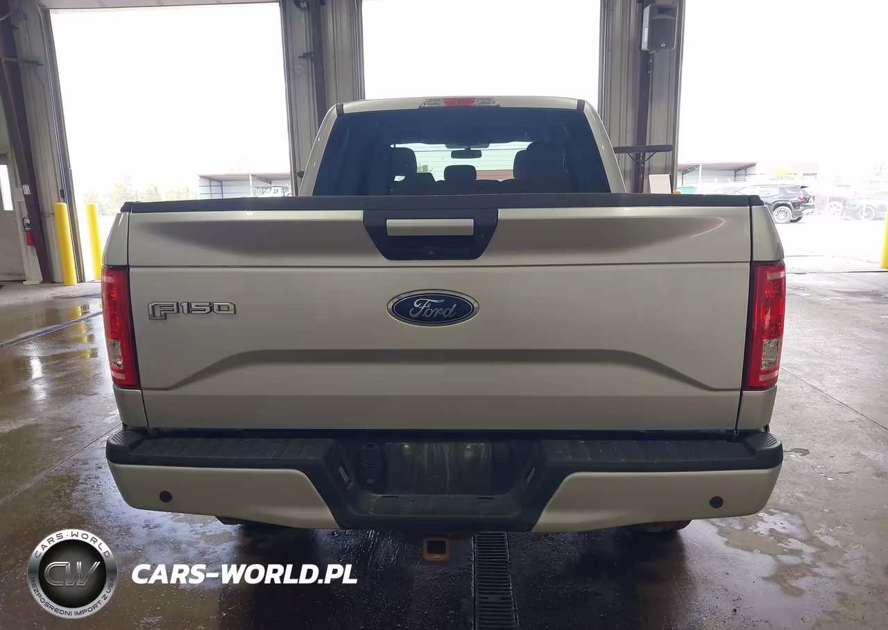 2017 Ford F-150 Xlt VIN:1FTFW1EF4HFA99166 - 15