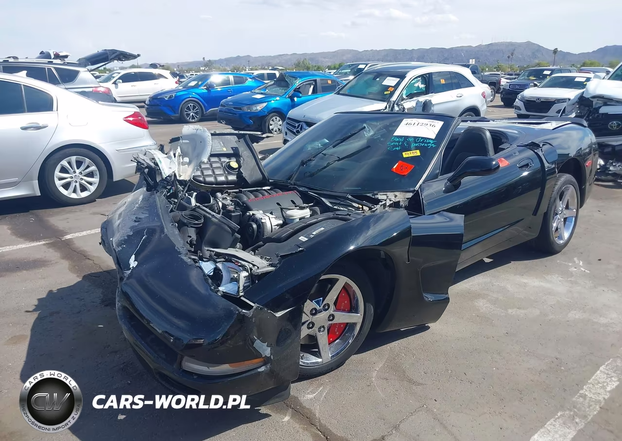 1998 Chevrolet Corvette VIN:1G1YY32G3W5104896 - 2