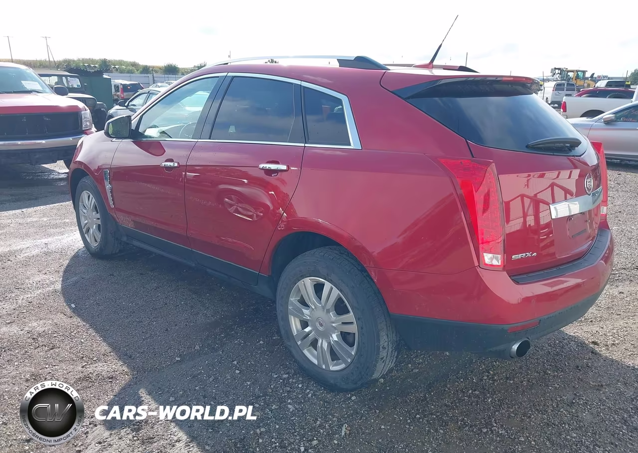 2010 Cadillac Srx Luxury Collection VIN:3GYFNDEY4AS576468 - 3