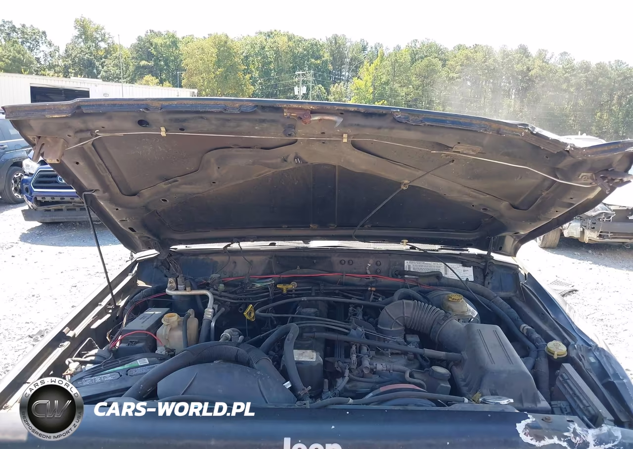 1999 Jeep Cherokee Classic-Sport VIN:1J4FT68S2XL591123 - 10